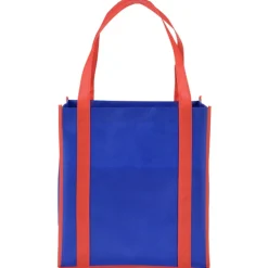 Accent Handle Grocery Bag - 24 hr