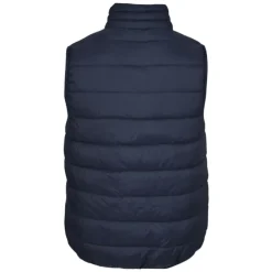Alberta Puffer Vest - Men's