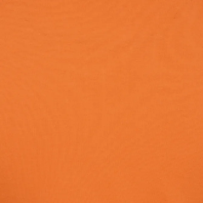 American Apparel Classic Cotton LS T-Shirt - Embroidered