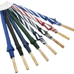 Auto Open Sport Umbrella - 48-inch Arc