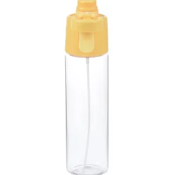Belle Mare Misting Water Bottle - 20 oz. - 24 hr