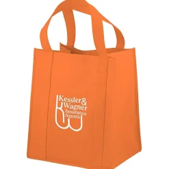 Big Thunder Tote - 15 inches x 13 inches