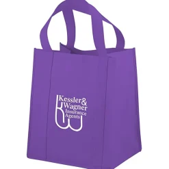Big Thunder Tote - 15 inches x 13 inches