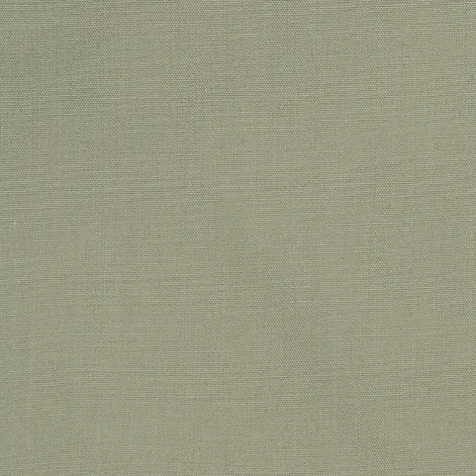 Broadcloth Café Shirt - Ladies'