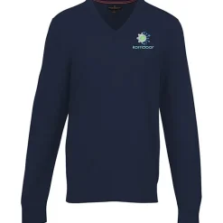 Brooks Brothers Washable Merino V-Neck Sweater - Men's