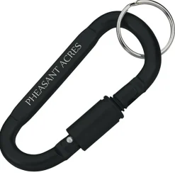 Carabiner Lock Keychain