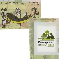 Cartoon Seed Packet - Cucumber