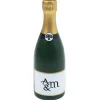 Champagne Bottle Stress Reliever - 24 hr