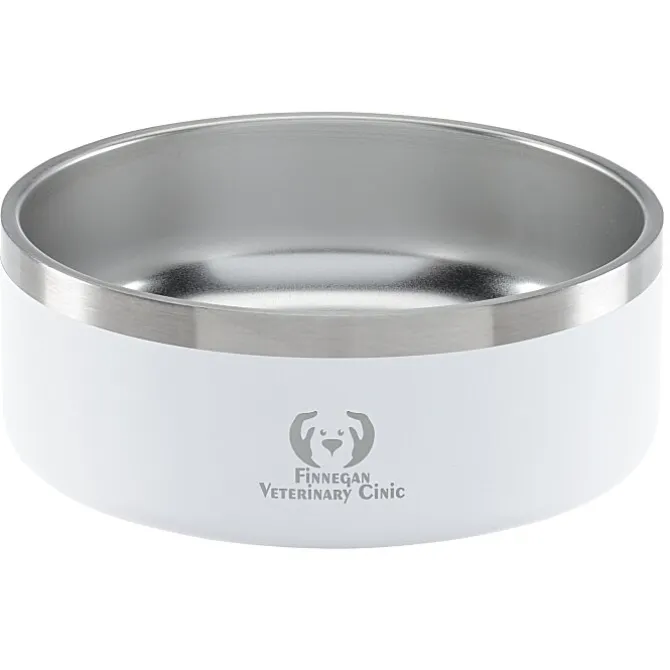 Color Accent Stainless Steel Pet Bowl