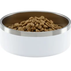 Color Accent Stainless Steel Pet Bowl