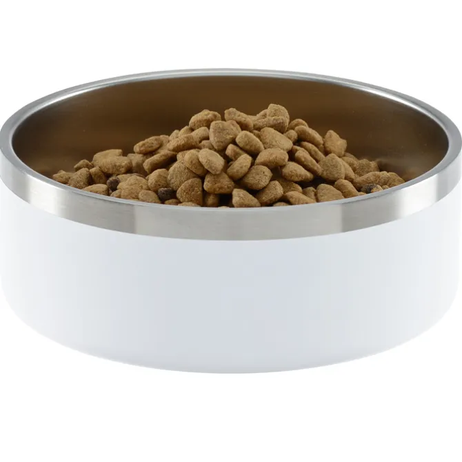 Color Accent Stainless Steel Pet Bowl