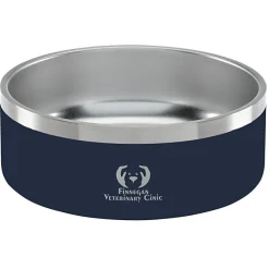 Color Accent Stainless Steel Pet Bowl