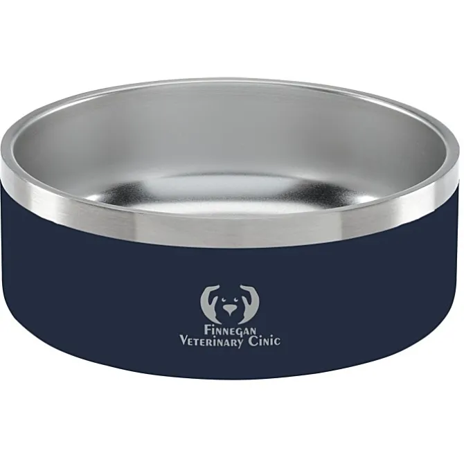 Color Accent Stainless Steel Pet Bowl