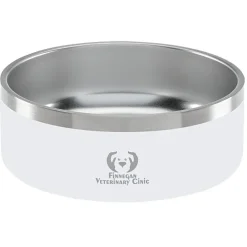 Color Accent Stainless Steel Pet Bowl