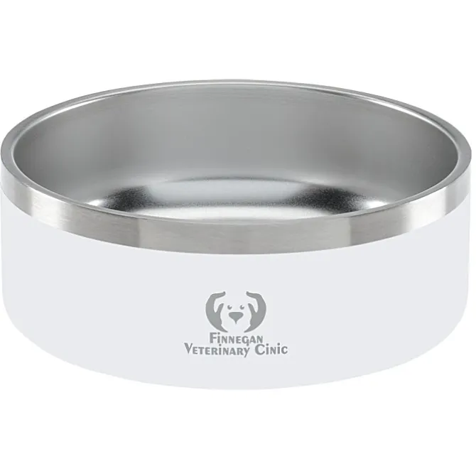 Color Accent Stainless Steel Pet Bowl