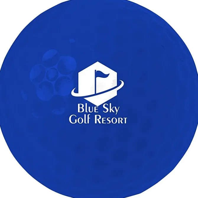 Colorful Golf Ball - Dozen - Bulk