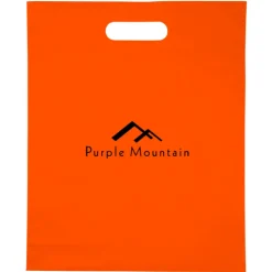Convention Bag with Reinforced Handles - 15 inches x 12 inches