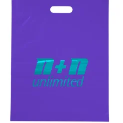 Convention Bag with Reinforced Handles - 19 inches x 15 inches