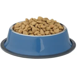 Duke Stainless Steel Pet Bowl