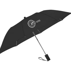 Economy Auto Opening Umbrella - 42-inch Arc - 24 hr