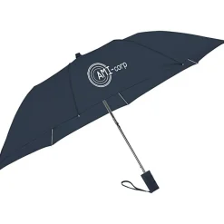 Economy Auto Opening Umbrella - 42-inch Arc - 24 hr