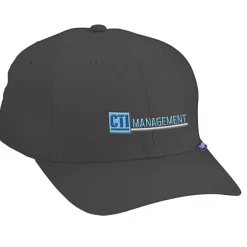 Flexfit V-Flex Twill Cap