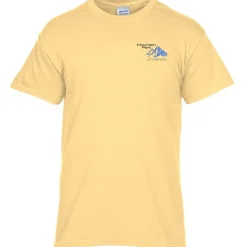 Gildan 5.3-oz Cotton T-Shirt - Men's - Embroidered