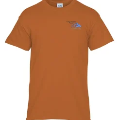 Gildan 5.3-oz Cotton T-Shirt - Men's - Embroidered