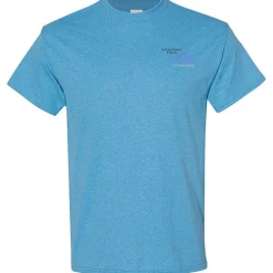 Gildan 5.3-oz Cotton T-Shirt - Men's - Embroidered