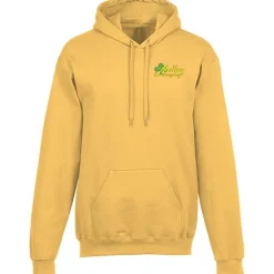 Gildan Softstyle Fleece Hoodie - Embroidered