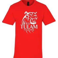 Gildan Softstyle Midweight T-Shirt - Men's