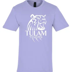 Gildan Softstyle Midweight T-Shirt - Men's