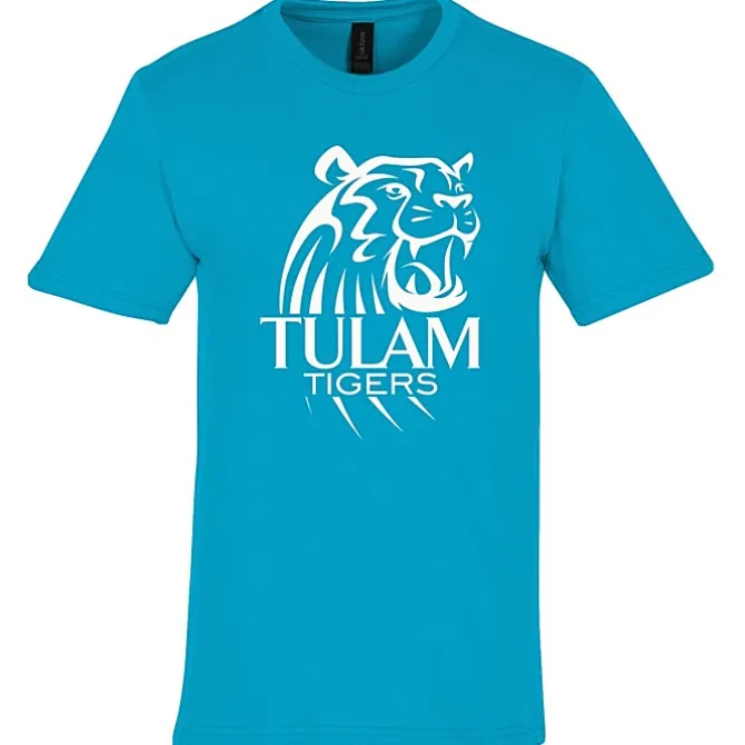 Gildan Softstyle Midweight T-Shirt - Men's