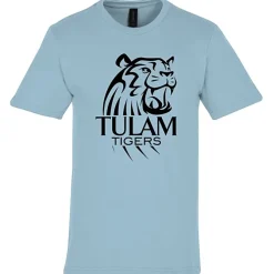 Gildan Softstyle Midweight T-Shirt - Men's