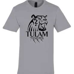Gildan Softstyle Midweight T-Shirt - Men's