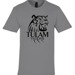 Gildan Softstyle Midweight T-Shirt - Men's