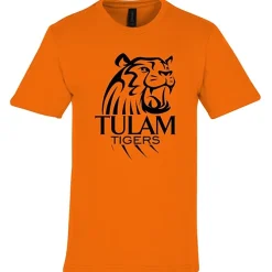 Gildan Softstyle Midweight T-Shirt - Men's