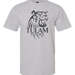 Gildan Softstyle Midweight T-Shirt - Men's