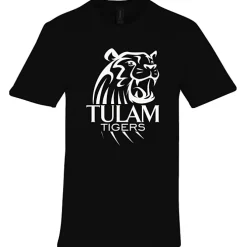 Gildan Softstyle Midweight T-Shirt - Men's
