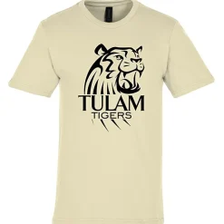 Gildan Softstyle Midweight T-Shirt - Men's