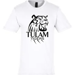 Gildan Softstyle Midweight T-Shirt - Men's