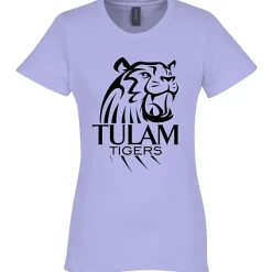 Gildan Softstyle Midweight T-Shirt - Ladies'