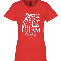 Gildan Softstyle Midweight T-Shirt - Ladies'