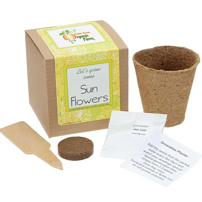 Growable Planter Gift Kit - Flowers - 24 hr
