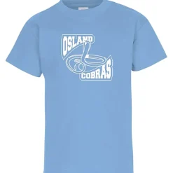 Hanes Authentic T-Shirt - Youth - Screen - Colors