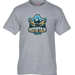 Hanes 50/50 ComfortBlend T-Shirt - Full Color