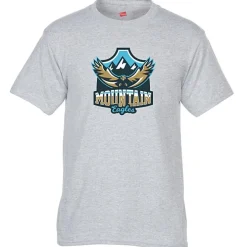 Hanes 50/50 ComfortBlend T-Shirt - Full Color