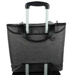 Igloo Daytripper Dual Compartment Tote Cooler