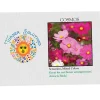 Impression Series Seed Packet - Cosmos
