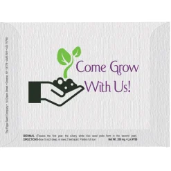 Impression Series Seed Packet - Money Plant